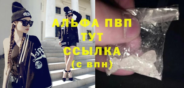 прущие грибы Балабаново