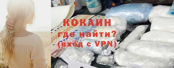 прущие грибы Балабаново