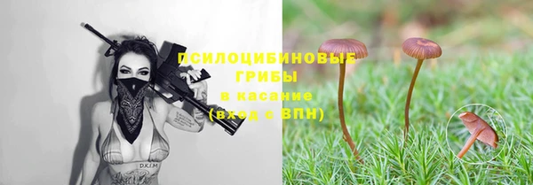 ГАЛЛЮЦИНОГЕННЫЕ ГРИБЫ Армянск