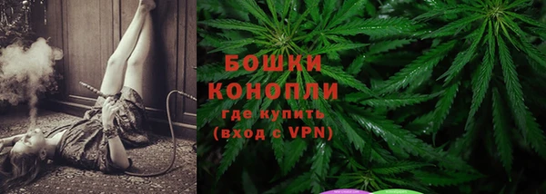 прущие грибы Балабаново