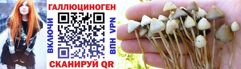 Галлюциногенные грибы Psilocybine cubensis Облучье